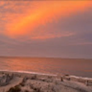 Meet your Posher, Lilly